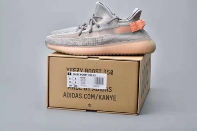 Gray European limited Adidas Yeezy Boost 350 V2 True